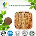 Hot sales Improve blood circulation angelica root extract